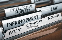 Intellectual Property License Agreement